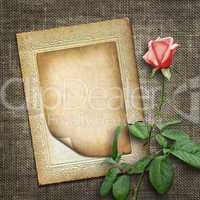 card for invitation or congratulation with pink rose