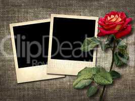 polaroid-style photo on a linen background with red rose