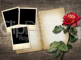 polaroid-style photo on a linen background with red rose