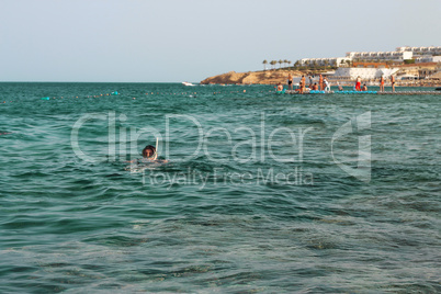 woman photographer diving into water of red sea