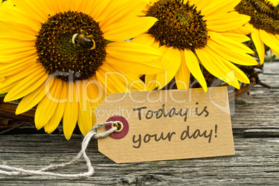 your day