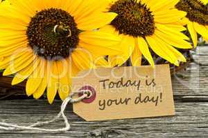 your day