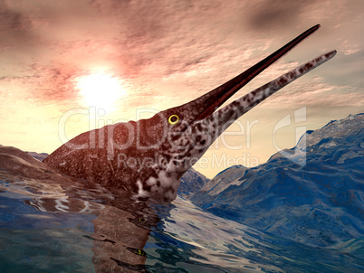 Ichthyosaurier Shonisaurus