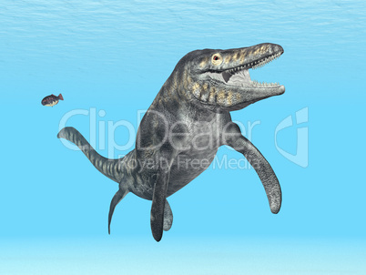 Mosasaurier Tylosaurus