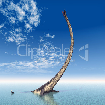 Plesiosaurier Elasmosaurus