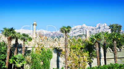 Park with palm trees