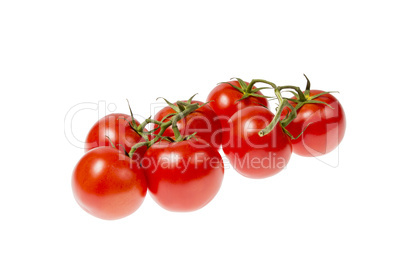 tomatoes isolated on white background