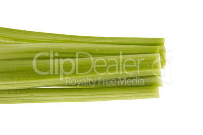 celery on white background