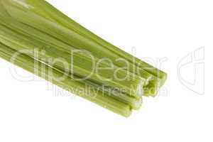 celery on white background