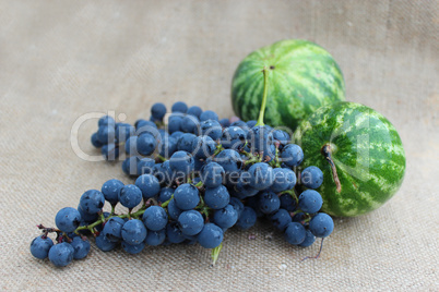 still life from two watermelons and grape