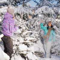 two girlfriends throw snow balls winter forest