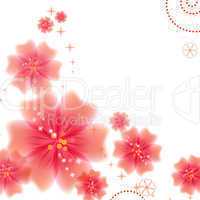 red flowers and reflections on a white background