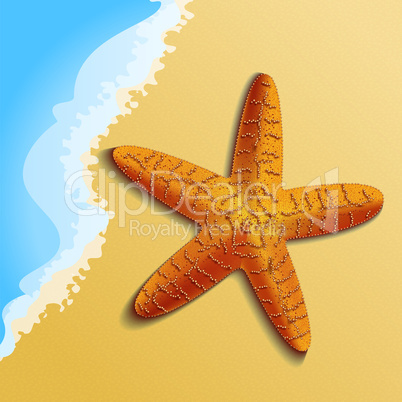 starfish on the beach