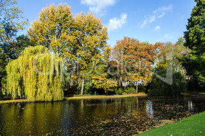 Lake in the park