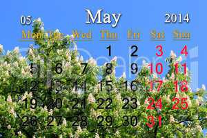 calendar for may of 2014 with crowns of chestnut