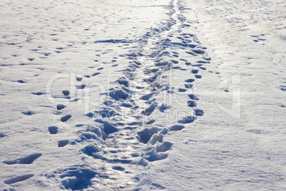 narrow footpath on the snow