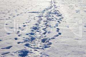 narrow footpath on the snow