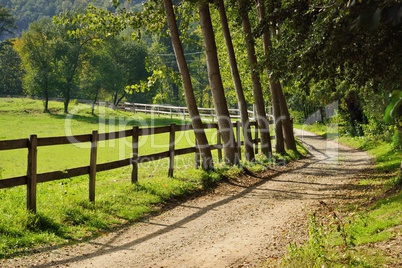 road in countryside