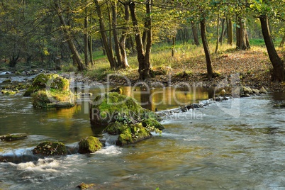 river in autumn forest