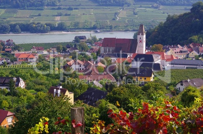 spitz in der wachau - spitz in wachau 08