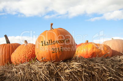 Halloween 2014 Kürbisse