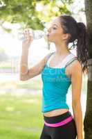 Active attractive brunette drinking from a water bottle