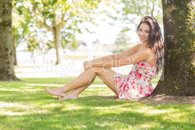 Stylish pretty brunette sitting under a tree