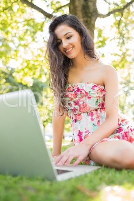 Stylish cheerful brunette sitting on a lawn using laptop