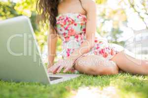 Picture of woman sitting on grass using laptop