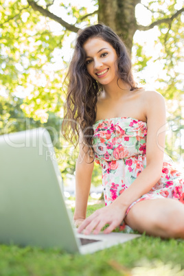 Stylish smiling brunette sitting on a lawn using laptop