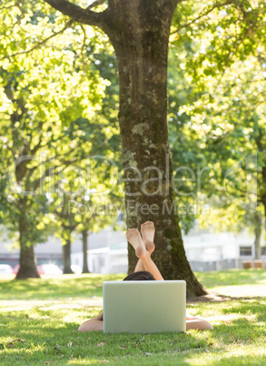 Brunette lying on the grass using her laptop