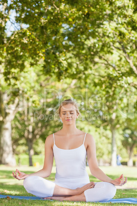 Calm woman sitting meditating on an exercise mat