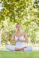 Calm beautiful woman meditating sitting in a park