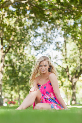 Cheerful young woman sitting on a lawn