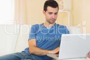 Casual peaceful man sitting on couch using laptop