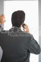 Rear view of businessman phoning