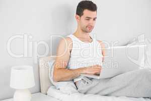 Handsome smiling man using laptop in his bed