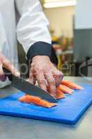 Close up of chef slicing raw salmon with sharp knife