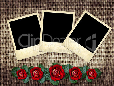 polaroid-style photo on a linen background  with red rose