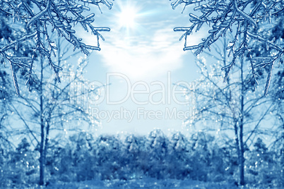 winter background with icy branches in the foreground