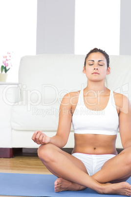 Brunette woman in sportswear sitting on an exercise mat