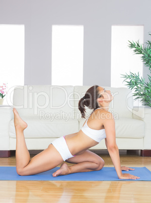 Pretty woman in sportswear doing yoga in her living room