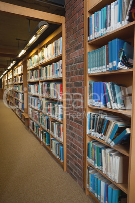 Row of bookshelves filled with books