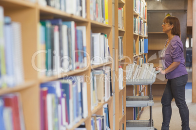 Mature female librarian pushing a cart in library