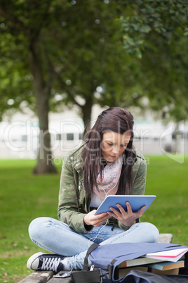 Focused brunette student using tablet sitting on bench