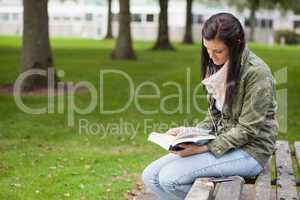 Focused brunette student sitting on bench reading
