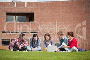 Five casual students sitting on the grass using laptop