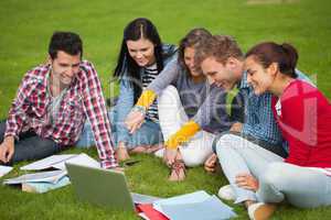 Five students sitting on the grass pointing at laptop