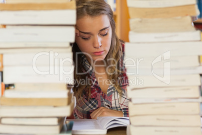 Concentrated pretty student studying between piles of books