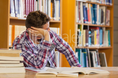 Handsome distracted student studying his books